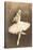Swan Lake Ballerina-null-Stretched Canvas