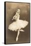 Swan Lake Ballerina-null-Framed Stretched Canvas
