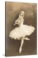 Swan Lake Ballerina-null-Stretched Canvas