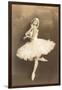 Swan Lake Ballerina-null-Framed Art Print