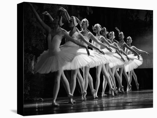 Swan Lake ballet-null-Stretched Canvas