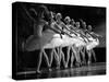 Swan Lake ballet-null-Stretched Canvas