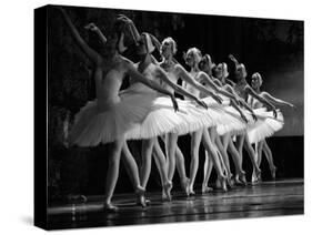 Swan Lake ballet-null-Stretched Canvas