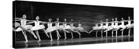 Swan Lake ballet-null-Stretched Canvas