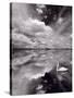 Swan Lake Explorations BW-Steve Gadomski-Stretched Canvas