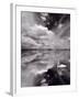 Swan Lake Explorations BW-Steve Gadomski-Framed Photographic Print