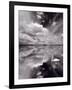 Swan Lake Explorations BW-Steve Gadomski-Framed Photographic Print