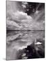 Swan Lake Explorations BW-Steve Gadomski-Mounted Photographic Print