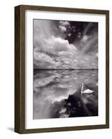 Swan Lake Explorations BW-Steve Gadomski-Framed Photographic Print