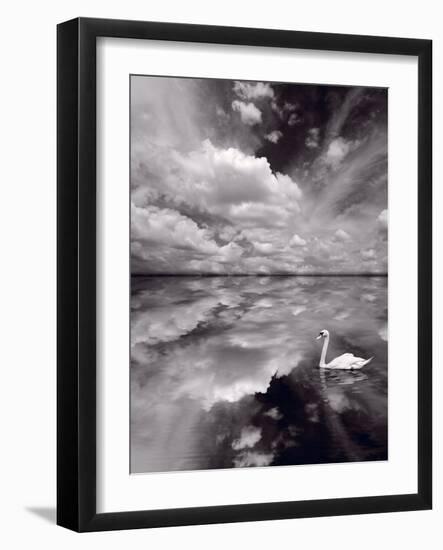 Swan Lake Explorations BW-Steve Gadomski-Framed Photographic Print