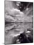 Swan Lake Explorations BW-Steve Gadomski-Mounted Photographic Print