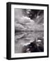 Swan Lake Explorations BW-Steve Gadomski-Framed Photographic Print