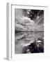Swan Lake Explorations BW-Steve Gadomski-Framed Photographic Print