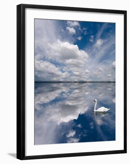 Swan Lake Explorations-Steve Gadomski-Framed Photographic Print