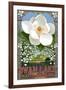 Swan Lake, South Carolina - Magnolia-Lantern Press-Framed Art Print