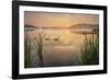 Swan Lake-Steve Docwra-Framed Giclee Print