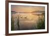 Swan Lake-Steve Docwra-Framed Giclee Print