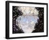 Swan Lake-Judy Mastrangelo-Framed Giclee Print