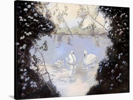 Swan Lake-Judy Mastrangelo-Stretched Canvas