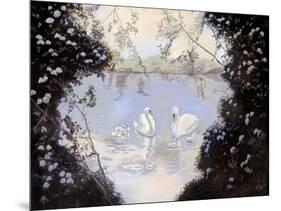 Swan Lake-Judy Mastrangelo-Mounted Giclee Print