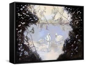 Swan Lake-Judy Mastrangelo-Framed Stretched Canvas