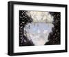 Swan Lake-Judy Mastrangelo-Framed Giclee Print