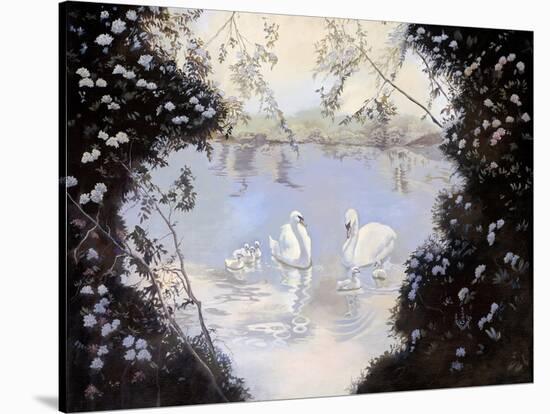 Swan Lake-Judy Mastrangelo-Stretched Canvas