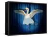 Swan Lake-J Hovenstine Studios-Framed Stretched Canvas