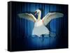 Swan Lake-J Hovenstine Studios-Framed Stretched Canvas