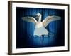 Swan Lake-J Hovenstine Studios-Framed Giclee Print