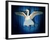 Swan Lake-J Hovenstine Studios-Framed Giclee Print