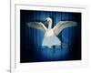 Swan Lake-J Hovenstine Studios-Framed Giclee Print