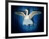 Swan Lake-J Hovenstine Studios-Framed Giclee Print