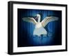 Swan Lake-J Hovenstine Studios-Framed Giclee Print