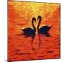 Swan LIV-Fernando Palma-Mounted Premium Giclee Print