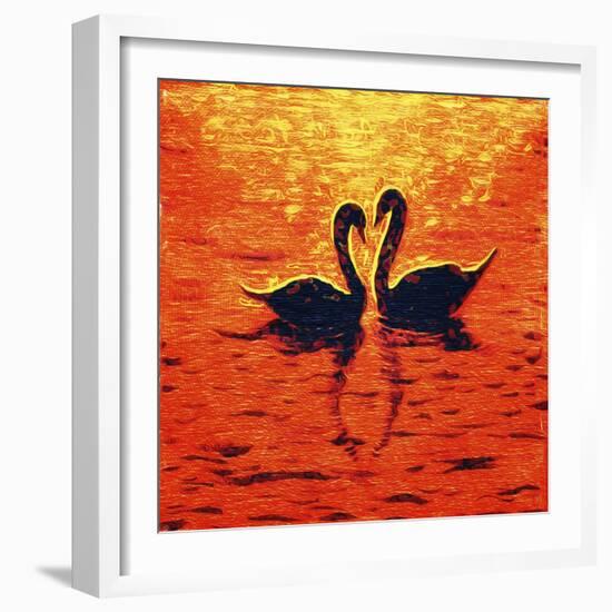 Swan LIV-Fernando Palma-Framed Giclee Print