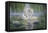 Swan Love-Bruce Dumas-Framed Stretched Canvas
