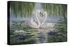 Swan Love-Bruce Dumas-Stretched Canvas