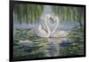 Swan Love-Bruce Dumas-Framed Giclee Print