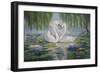 Swan Love-Bruce Dumas-Framed Giclee Print