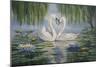 Swan Love-Bruce Dumas-Mounted Giclee Print