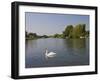 Swan on the River Thames at Walton-On-Thames, Near London, England, United Kingdom, Europe-Hazel Stuart-Framed Photographic Print