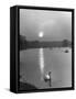 Swan on the Serpentine During the Mmonlight-Cornell Capa-Framed Stretched Canvas