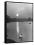 Swan on the Serpentine During the Mmonlight-Cornell Capa-Framed Stretched Canvas