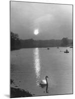 Swan on the Serpentine During the Mmonlight-Cornell Capa-Mounted Photographic Print