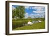Swan on the Shore of a Lake in Spring-Jan Marijs-Framed Photographic Print