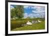 Swan on the Shore of a Lake in Spring-Jan Marijs-Framed Photographic Print