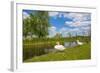 Swan on the Shore of a Lake in Spring-Jan Marijs-Framed Photographic Print