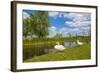 Swan on the Shore of a Lake in Spring-Jan Marijs-Framed Photographic Print