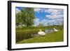 Swan on the Shore of a Lake in Spring-Jan Marijs-Framed Photographic Print